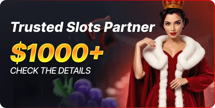 Partner promotion banner